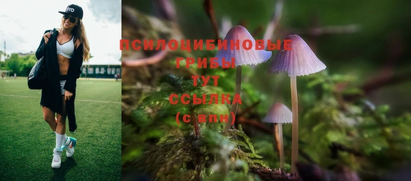 гашик Алексеевка