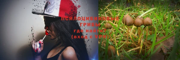 гашик Алексеевка