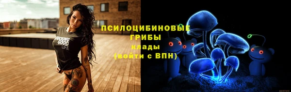 spice Алексин
