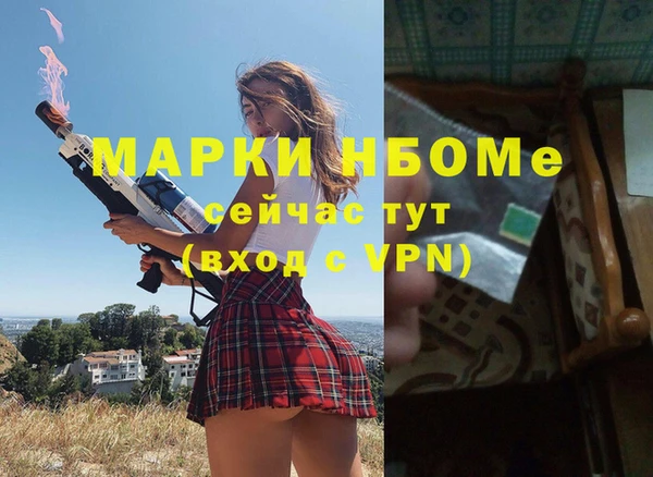 гашик Алексеевка