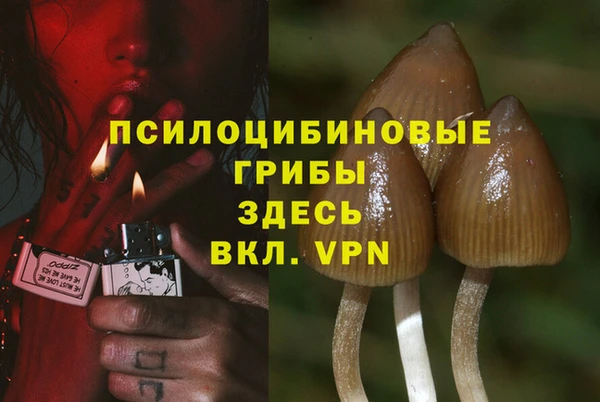 гашик Алексеевка