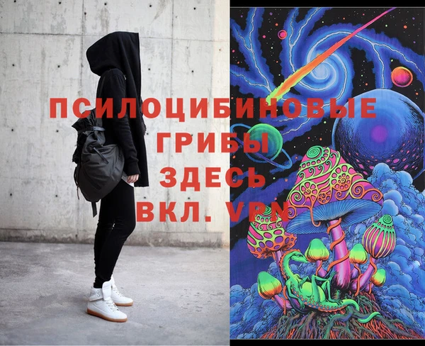 spice Алексин