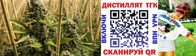 где можно купить   Сыктывкар  Дистиллят ТГК вейп 