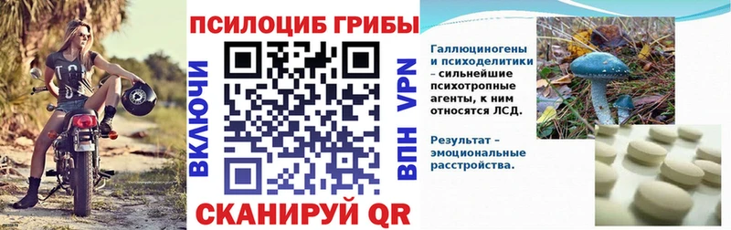Галлюциногенные грибы Psilocybe Сыктывкар